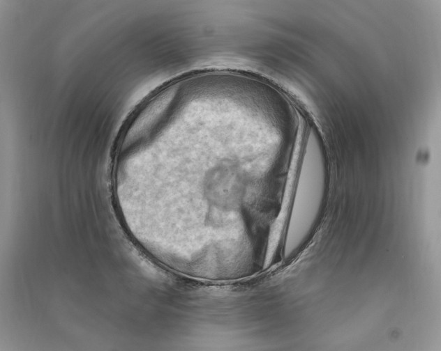 X0000090630990200708141430