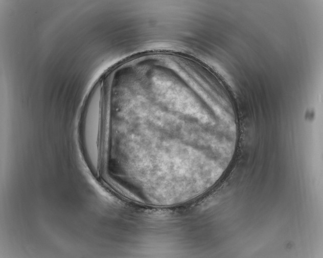 X0000090630991200708141430