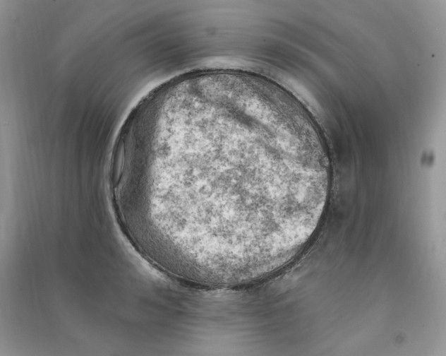 X0000090630992200708141430