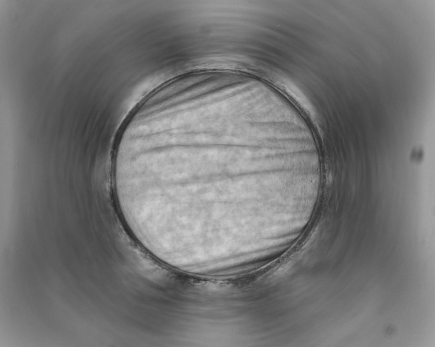 X0000090630994200708141430