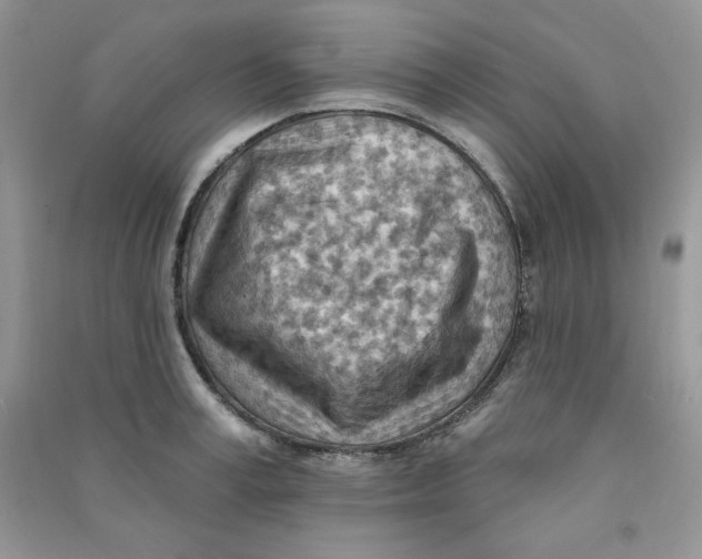 X0000090630995200708141430
