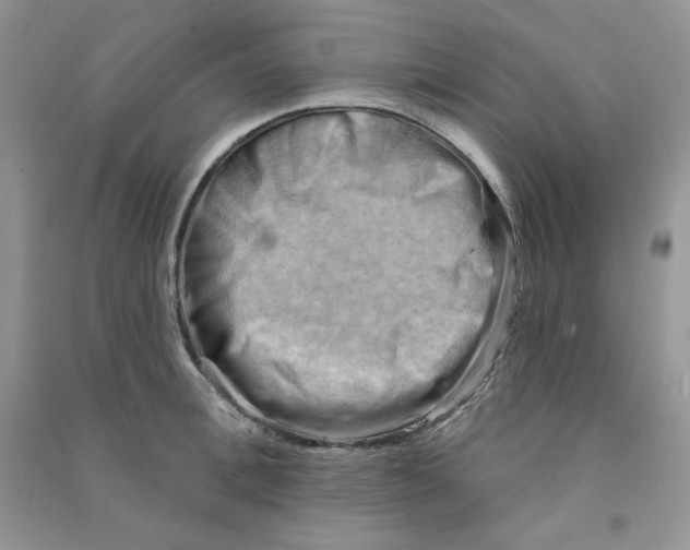 X0000090630996200708141430