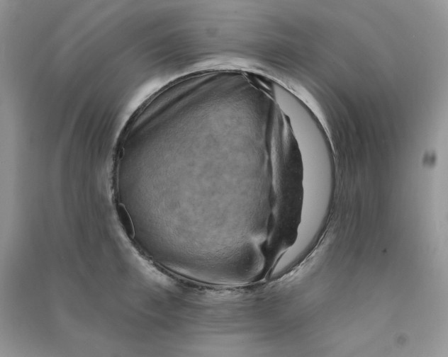 X0000090630997200708141430