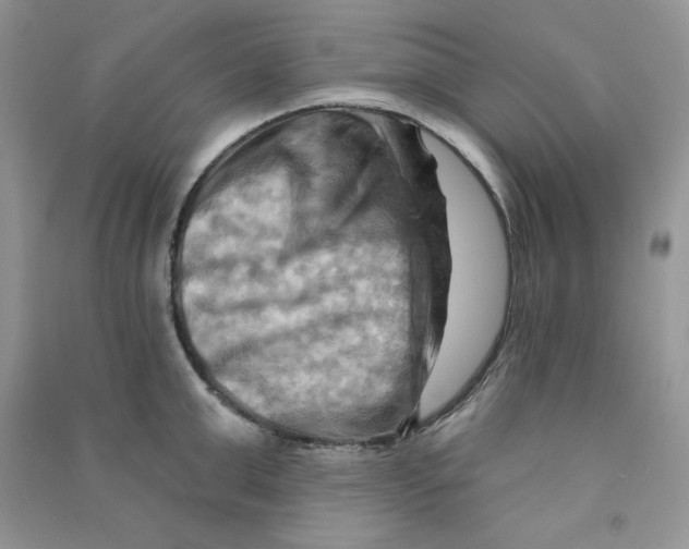 X0000090630999200708141430