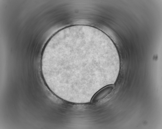 X0000090631000200708141430