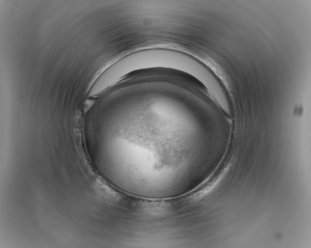 X0000090631001200708141430