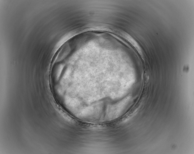 X0000090631002200708141430