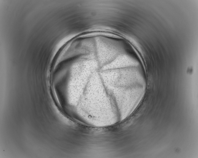 X0000090631003200708141430