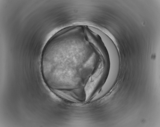 X0000090631005200708141430