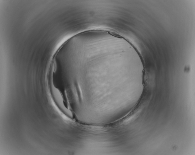 X0000090631007200708141430