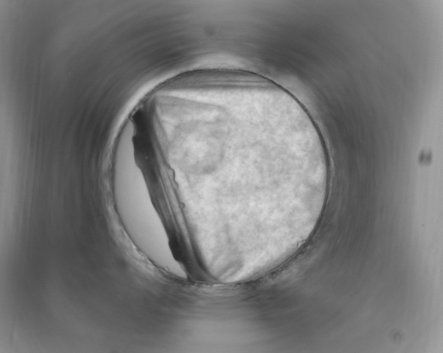 X0000090631008200708141430