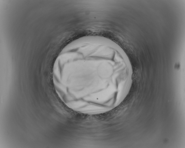 X0000090631009200708141429