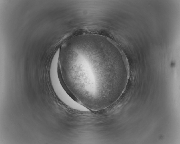X0000090631010200708141429