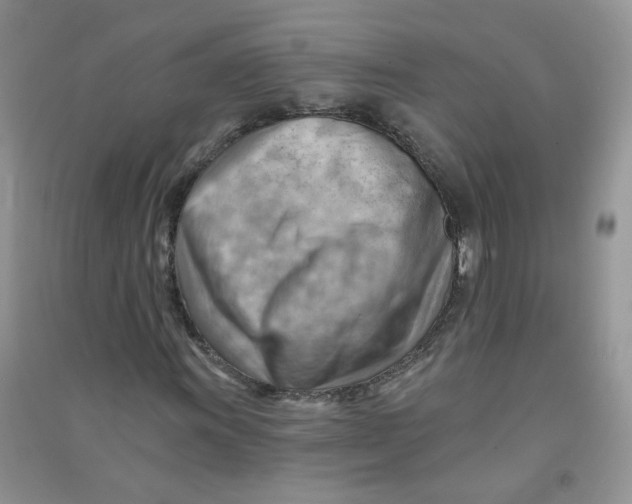 X0000090631011200708141429
