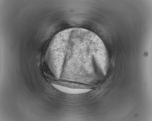 X0000090631012200708141429