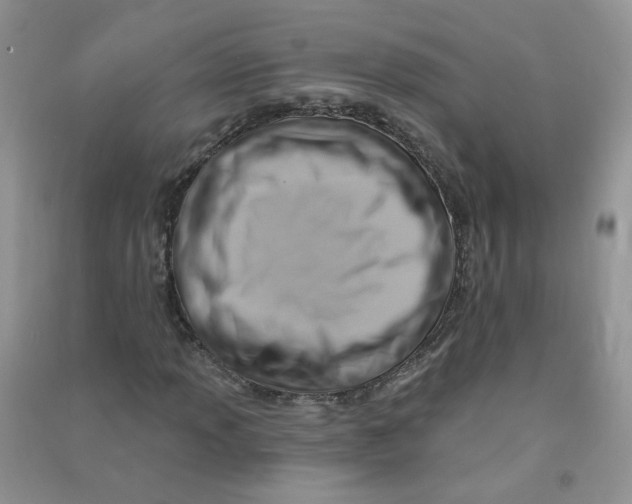 X0000090631013200708141429