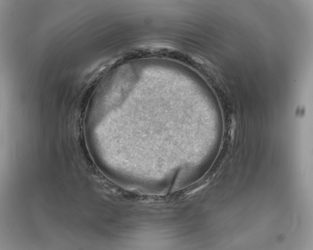 X0000090631014200708141429