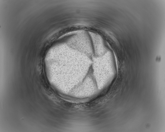 X0000090631015200708141429