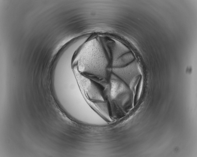 X0000090631018200708141430