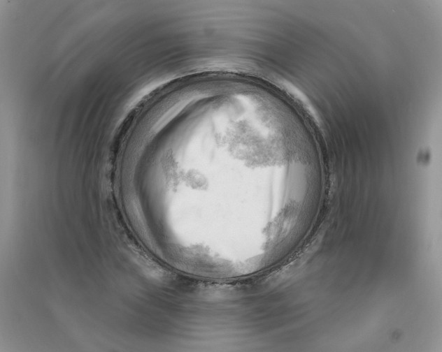 X0000090631019200708141430
