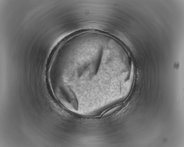 X0000090631020200708141430