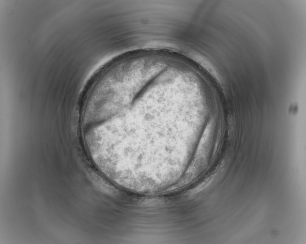X0000090631021200708141430