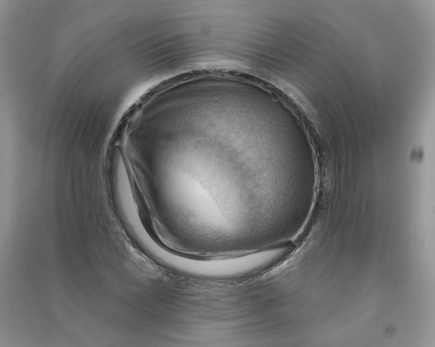 X0000090631022200708141430