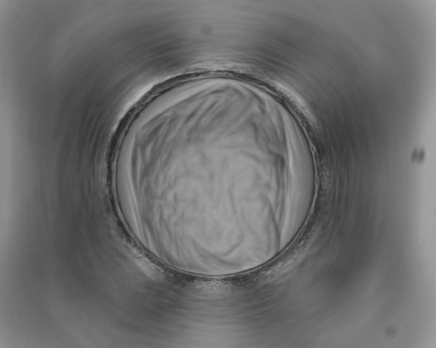 X0000090631023200708141430