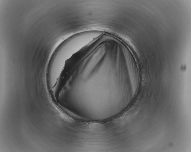 X0000090631024200708141430