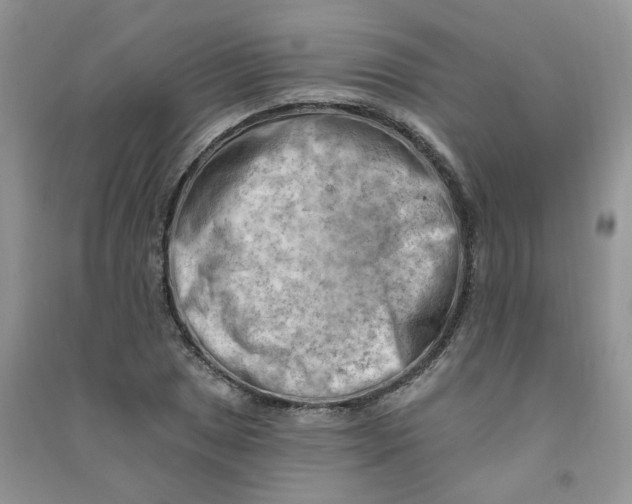 X0000090631025200708141430