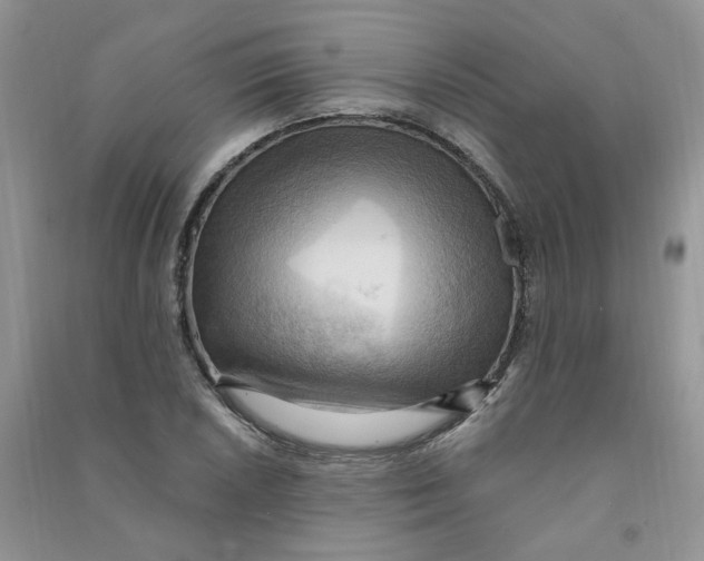 X0000090631026200708141430