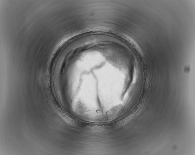 X0000090631027200708141430