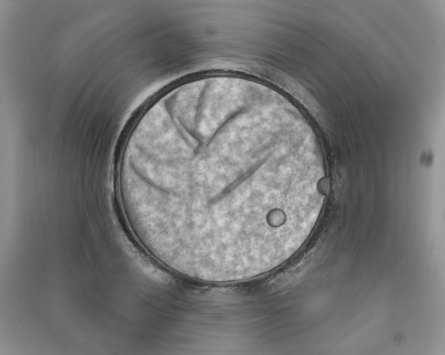 X0000090631028200708141430