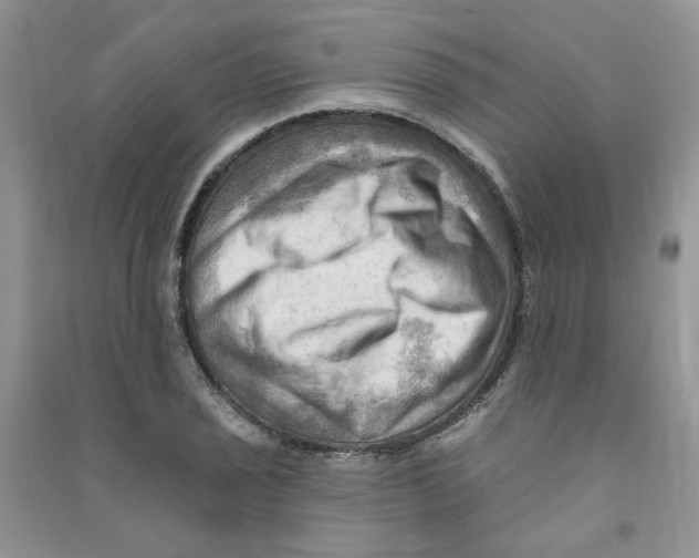 X0000090631029200708141430