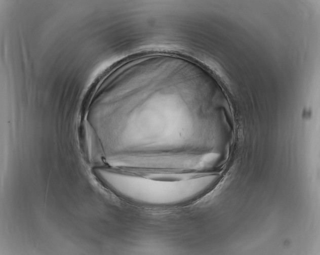 X0000090631030200708141430