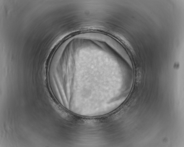 X0000090631031200708141430