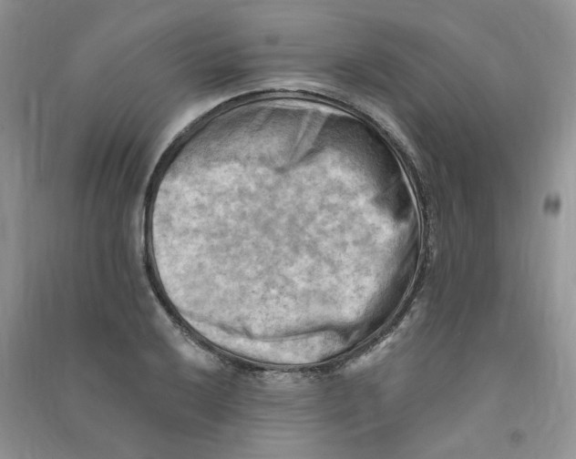 X0000090631032200708141430