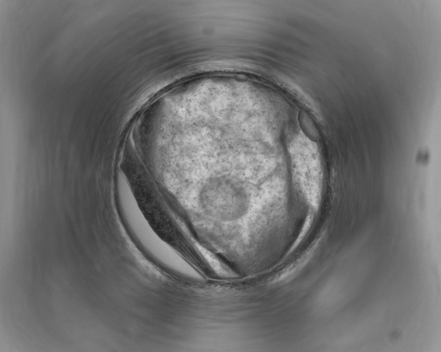 X0000090631033200708141430