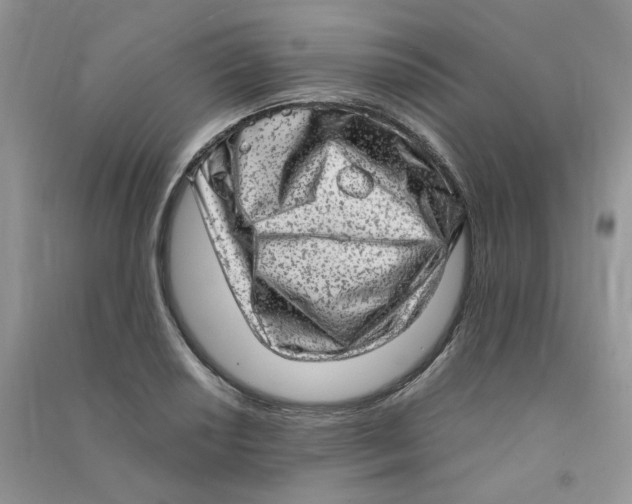 X0000090631034200708141430