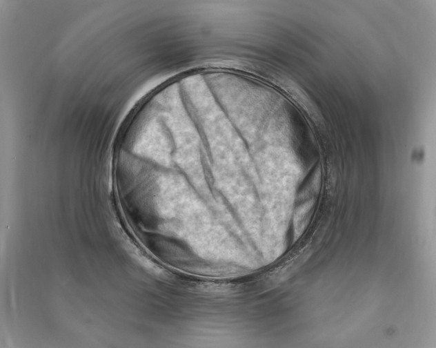 X0000090631036200708141430