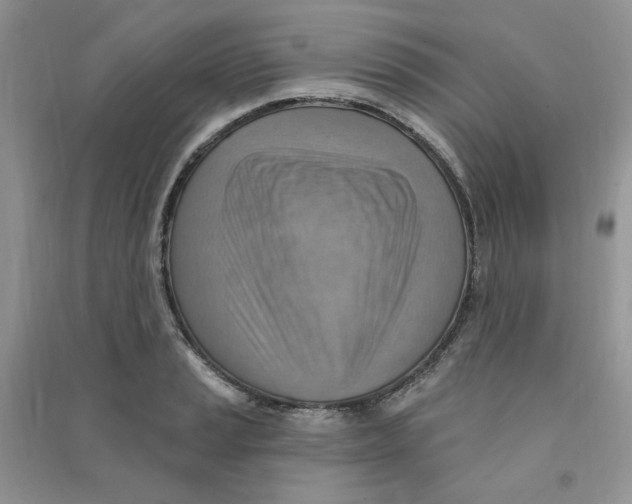 X0000090631037200708141430