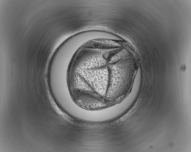 X0000090631038200708141430