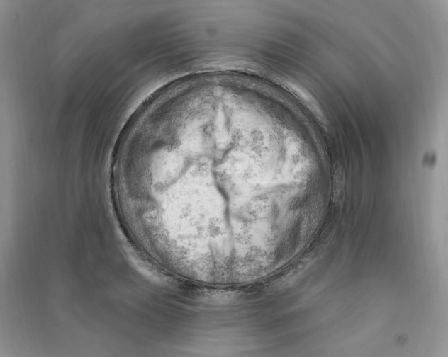 X0000090631039200708141430