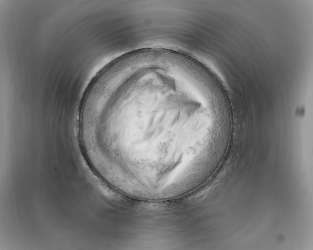 X0000090631040200708141430