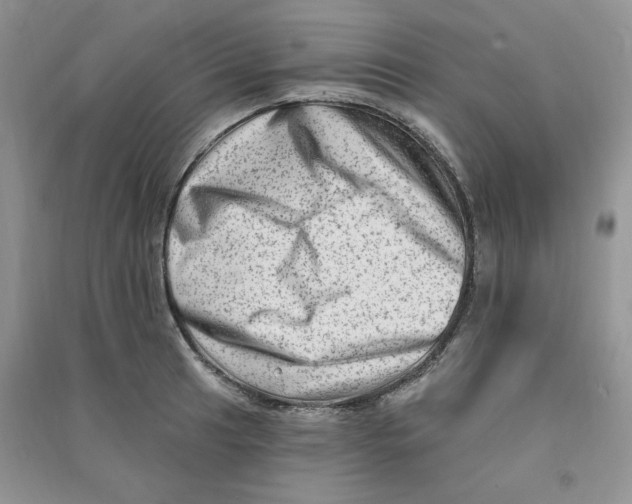 X0000090631041200708141430