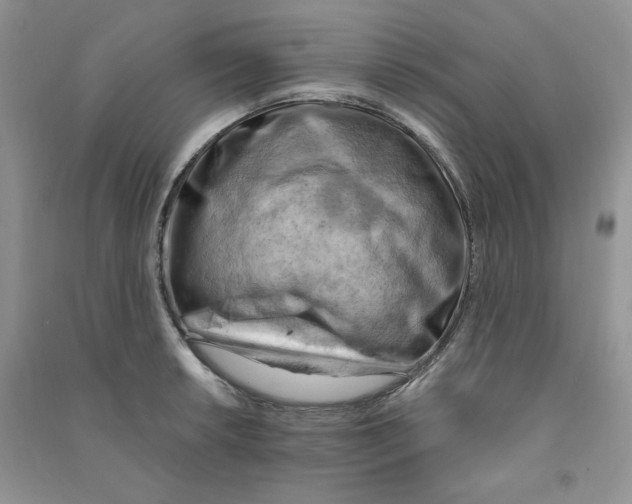 X0000090631042200708141430