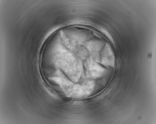 X0000090631043200708141430