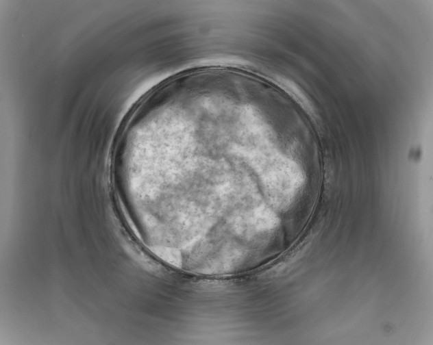 X0000090631044200708141430