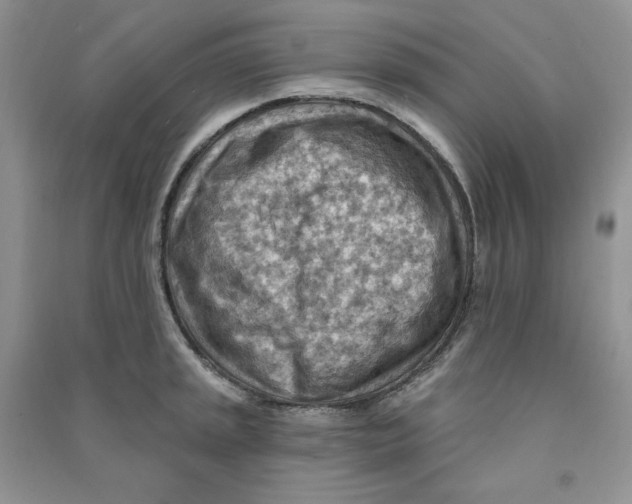 X0000090631045200708141430