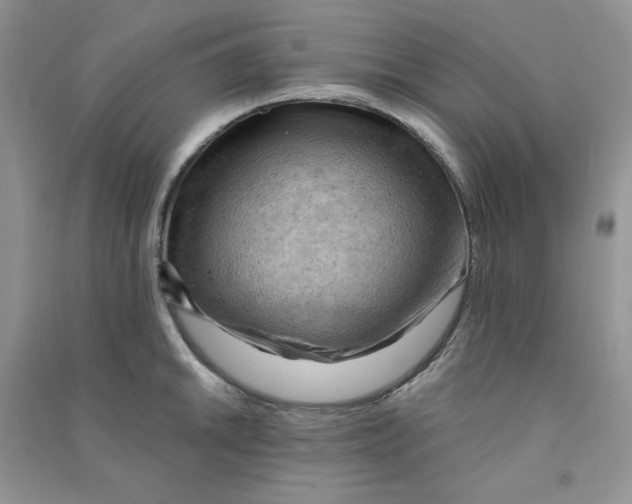 X0000090631046200708141430